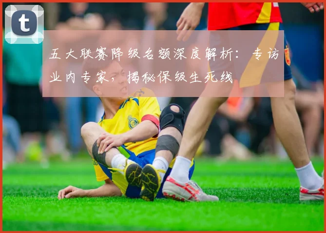 五大联赛降级名额深度解析:专访业内专家,揭秘保级生死线