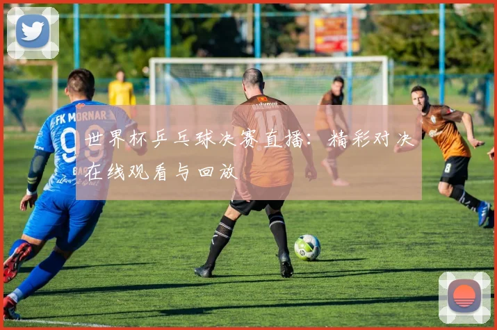 世界杯乒乓球决赛直播：精彩对决在线观看与回放